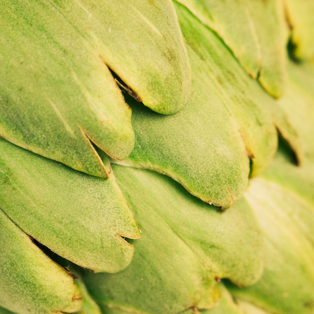 Okra Water: Health Perks and a Simple Recipe to Try