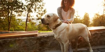 “Compelling Benefits of Bringing a Dog into Your Life”