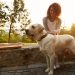 “Compelling Benefits of Bringing a Dog into Your Life”