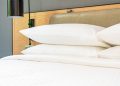 “Exploring the Advantages of Bamboo Pillows”