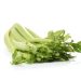 “Exploring the Drawbacks of Celery Juice: Highlighting Possible Concerns”