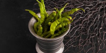 Exploring the Health Perks of Okra Water and a Simple Guide to Making It