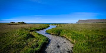 “Exploring the Physicochemical Characteristics of Pantal River: Episode 8”