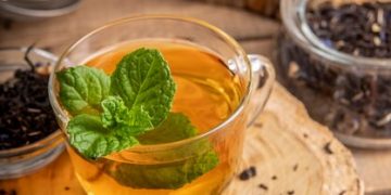 Exploring the Wonders of Lemon Balm Tea: Health Perks and Potential Drawbacks