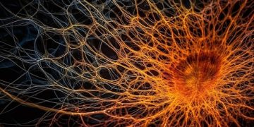 Here are five strategies to nurture and strengthen your nervous system.