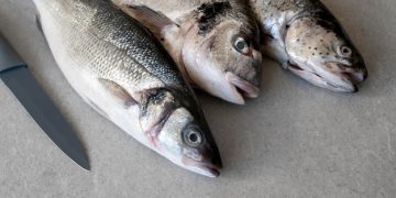 “Reasons to Avoid Tilapia in Your Diet”