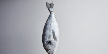 “Reasons to Avoid Tilapia in Your Diet”