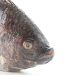 “Reasons to Avoid Tilapia in Your Diet”