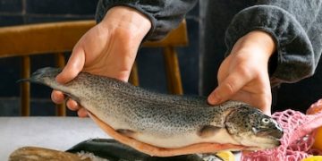 The Surprising Reasons to Avoid Tilapia Consumption